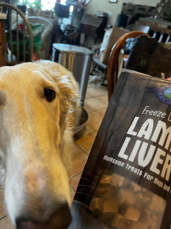 Borzois love their lamb liver treats