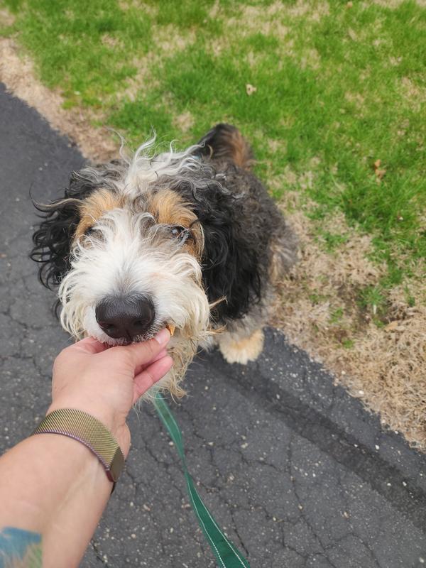 Mom, gimme the good stuff!