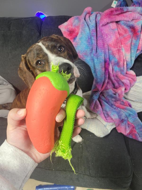 Tore the nylon band of in less than 25 mins