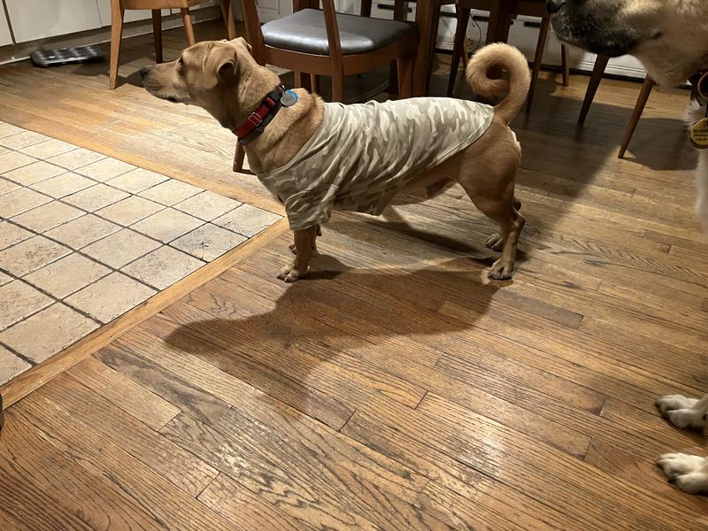 Slightly off the shoulder tshirt