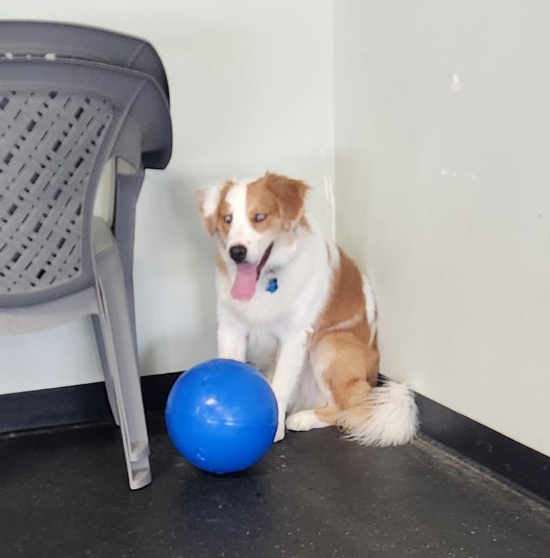 Playtime at the indoor playground!