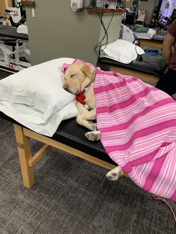 sleeping after swiftpaws!!