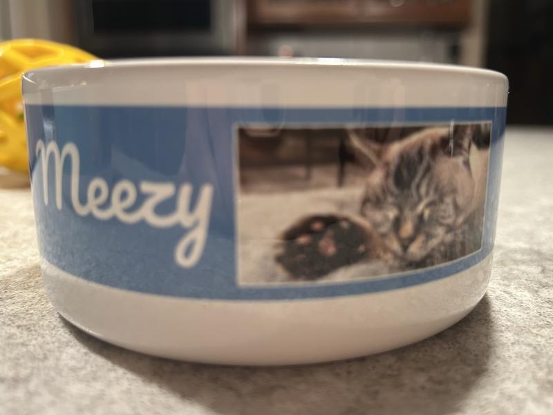 My Meezy is so cute on the bowl!!
