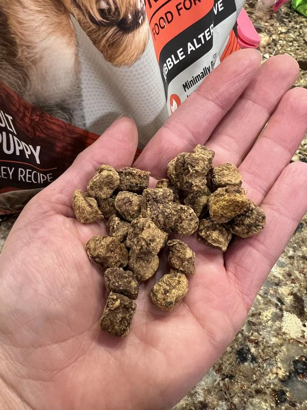 Actual photo of food