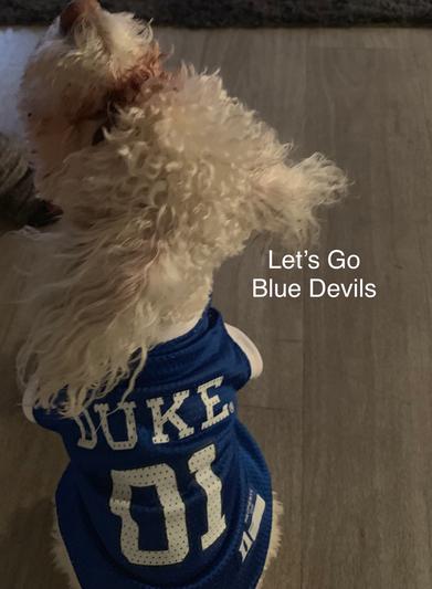 Lets go DUKE size med loose fit