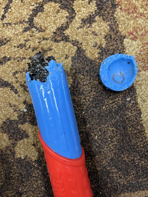 Chocolate lab vs Kong - Lab 1 Kong 0