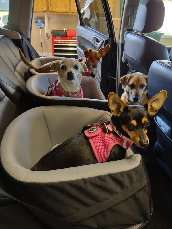 TRIXIE Dog Car Booster Seat