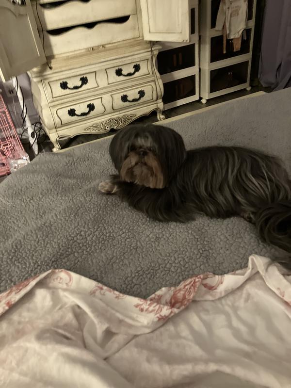 Shelby my baby girl.