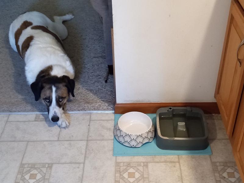 Waiting for the food!