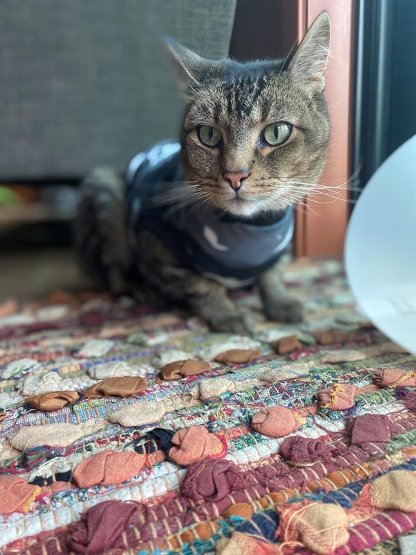 SUITICAL Recovery Suit for Cats, Black Camo, XXSmall