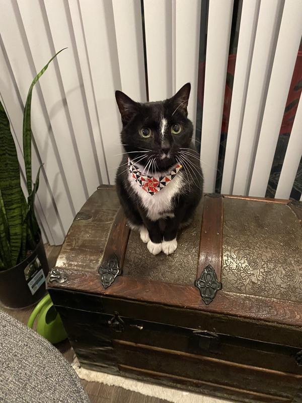 Skooter is cool & got the drip