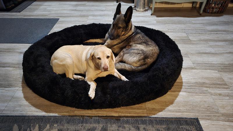 LovMor Oversized Human Dog Bed