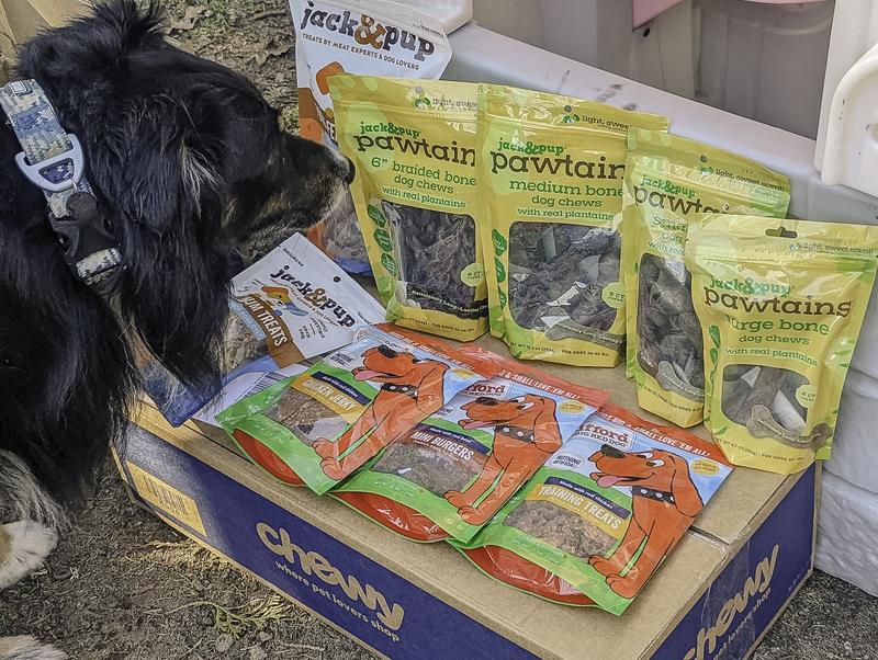 Got our Shipment in From Chewy! My Aussie is eyeing those Large Pawtains!