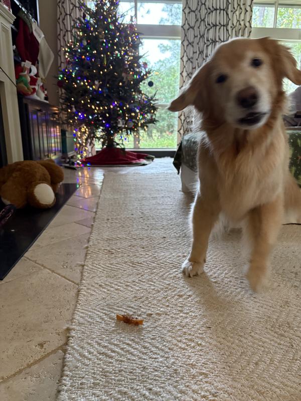 He likes to play with the treat before he eats it.