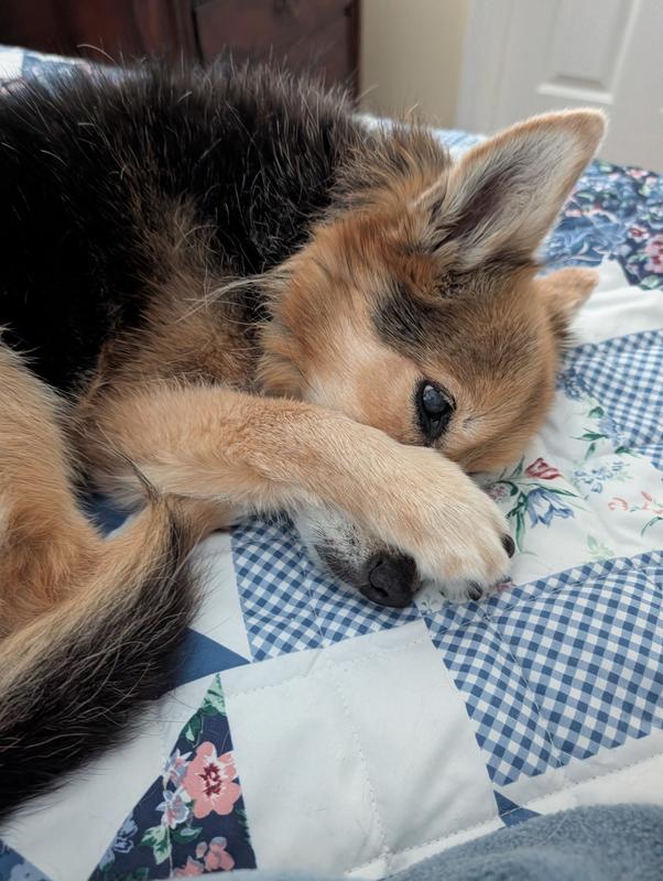 I don't like it and I don't want to talk about it!