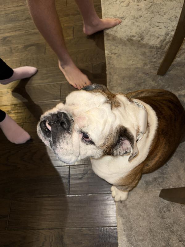 So discrete- love the grey color