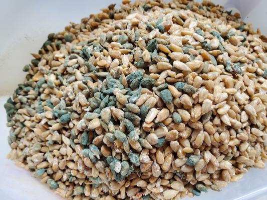 Wagner's Sunflower Hearts & Chips Premium Wild Bird Food
