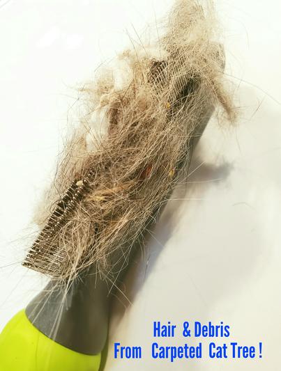Hair & Debris from carpeted cat tree..YIKES!