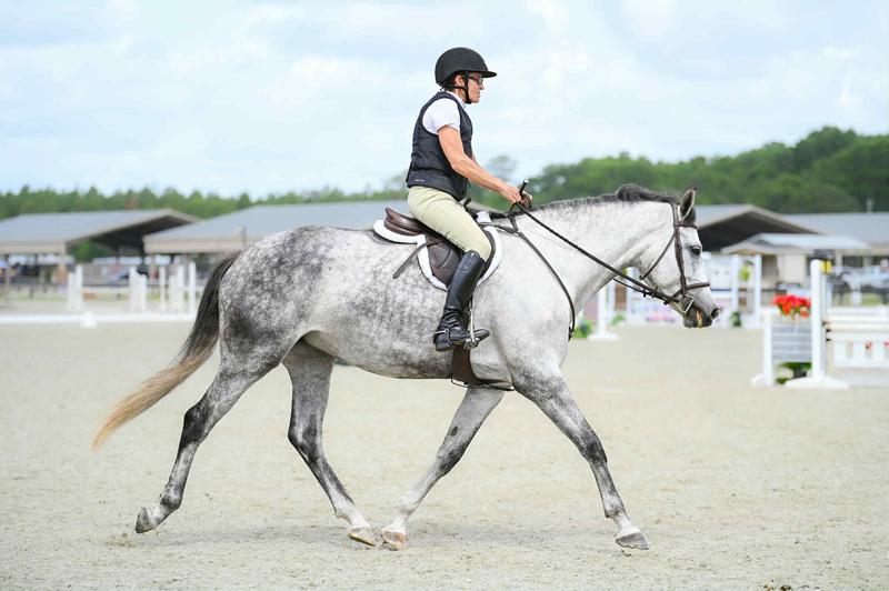 My young mare at a schooling show this week