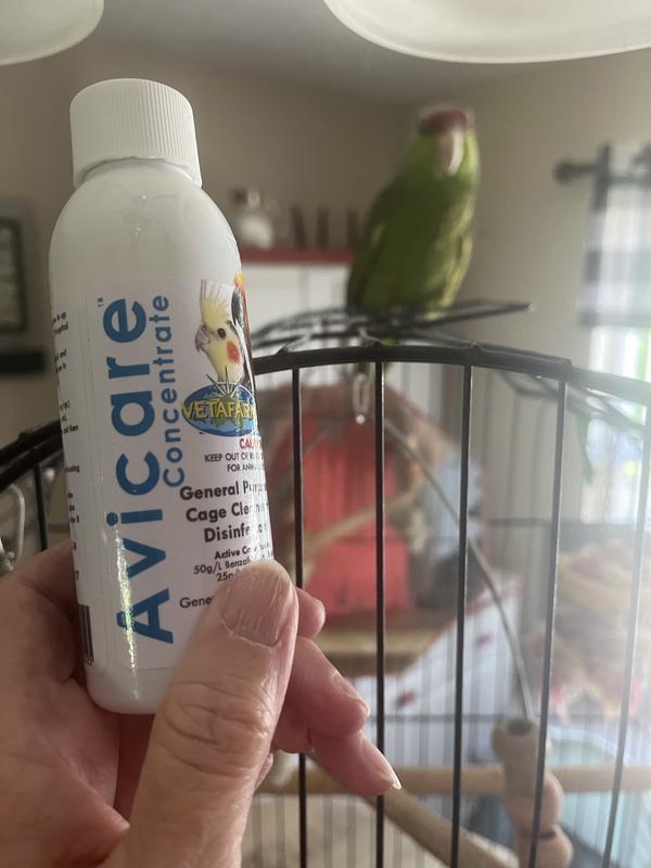 Cleaning Charlie’s cage