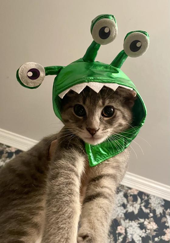 Frisco Front Walking Alien Dog & Cat Costume