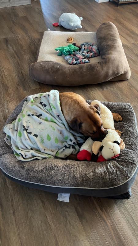 Enough room for him and his favorite stuffed animal