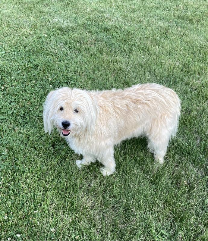 I love to be in my yard!