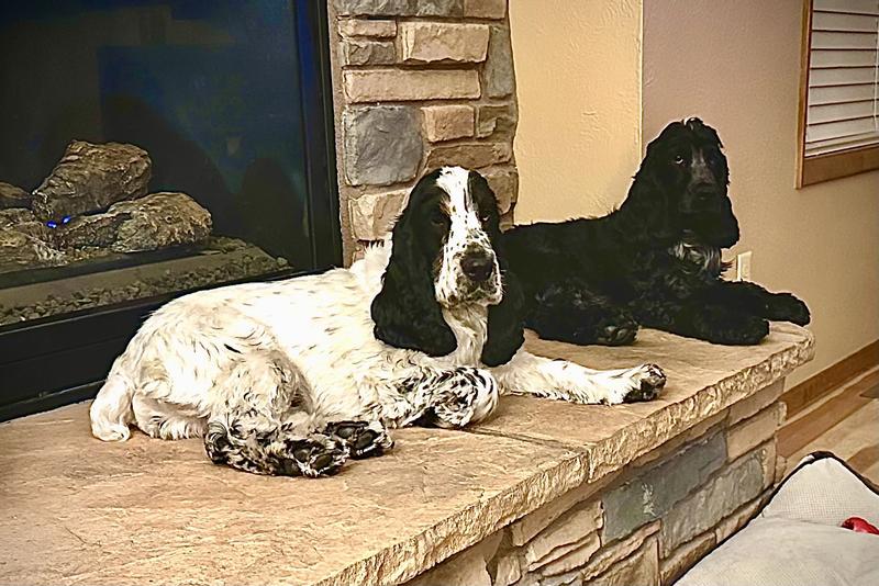 Our two boys