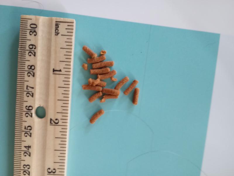 Size and shape of the pellets for anyone curious