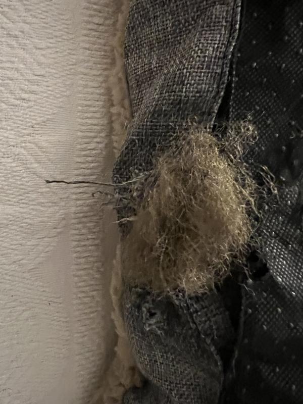 Loose stuffing, flimsy quality, a waste of money.