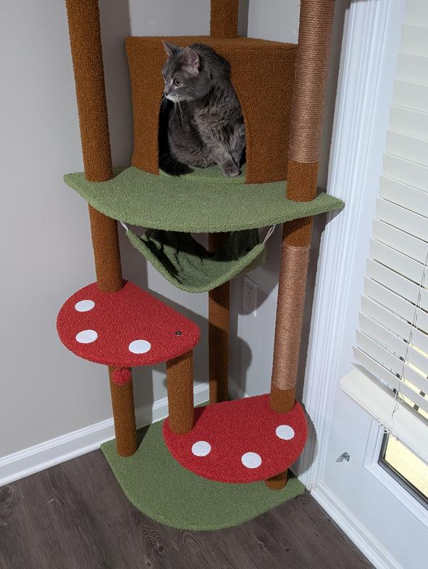 Cute but narrow mushroom steps