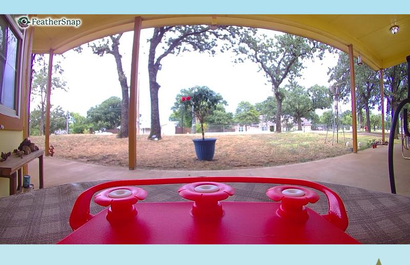 Screen shot of the camera view