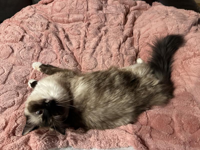 Nice size for relaxing