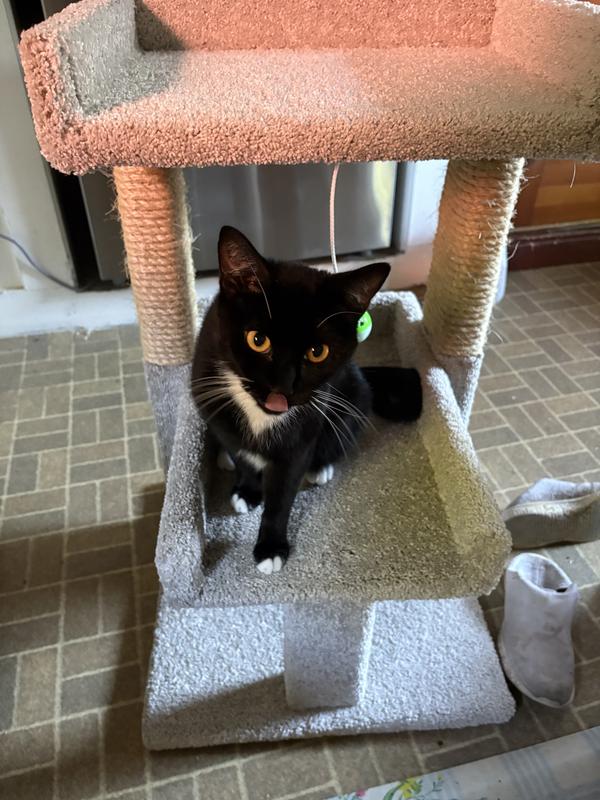 Ophelia loves it