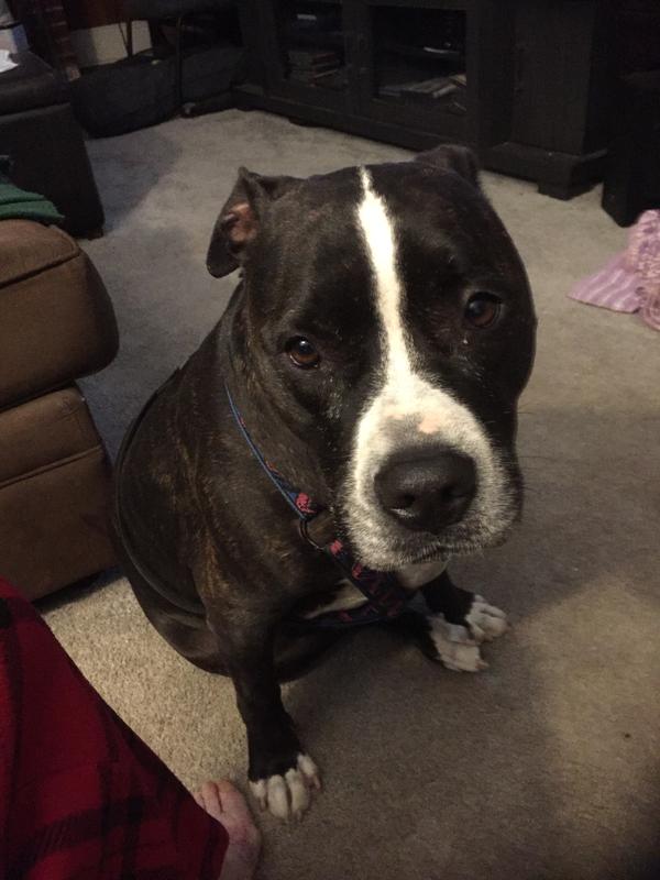 What. A cute face. !