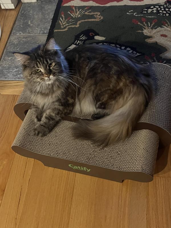 Lucy likes it