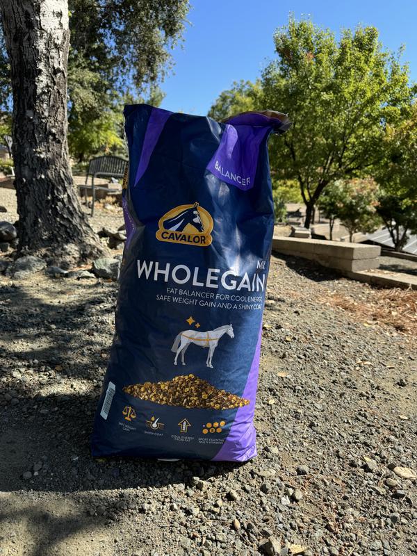 The Wholegain has arrived!