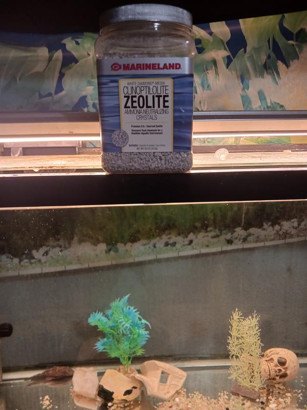 A sparkling experience