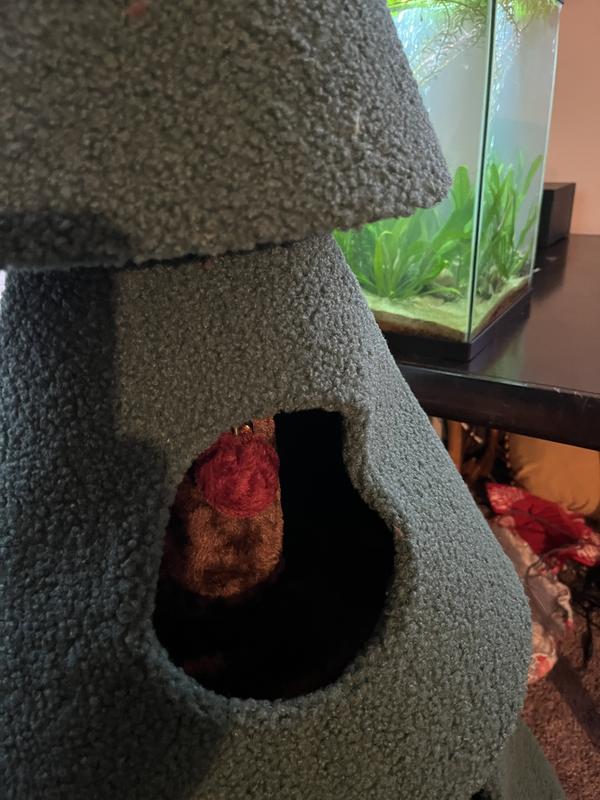 Dents all over the caves