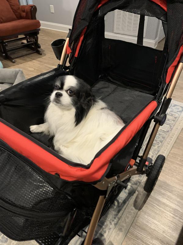 Milo and his stroller