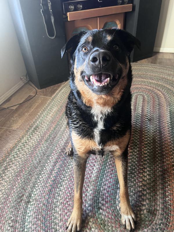 Post bath, happy boy