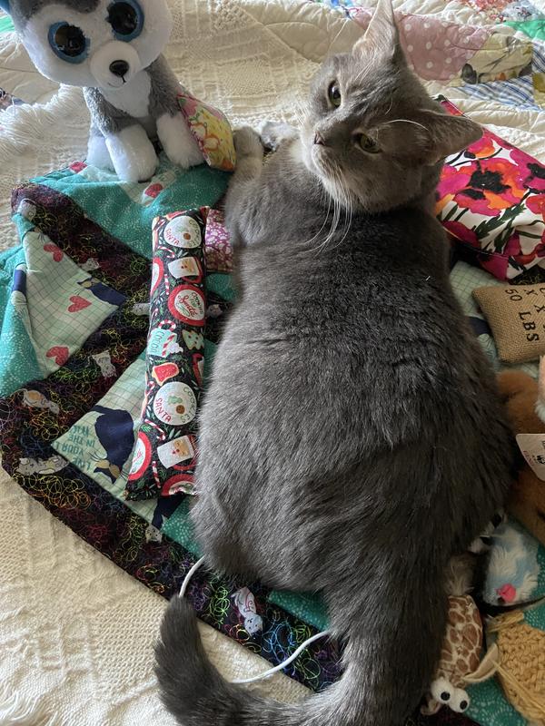 Hey, loverboy? Loverboy?