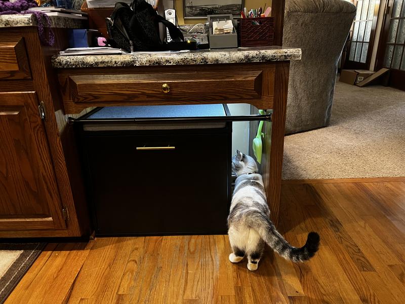 FRISCO Drop Down Door Bench Cat Litter Box Cover