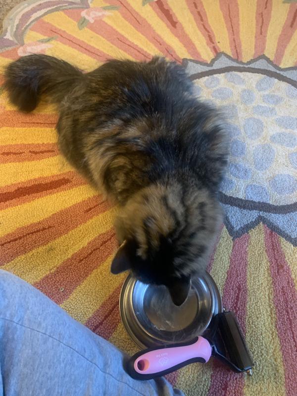 OZARK PET Dog & Cat Grooming Kit, Pink, Small