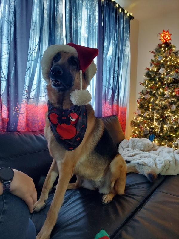 Merry Christmas!
