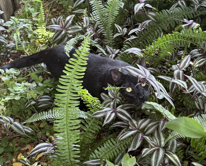 Actively exploring again