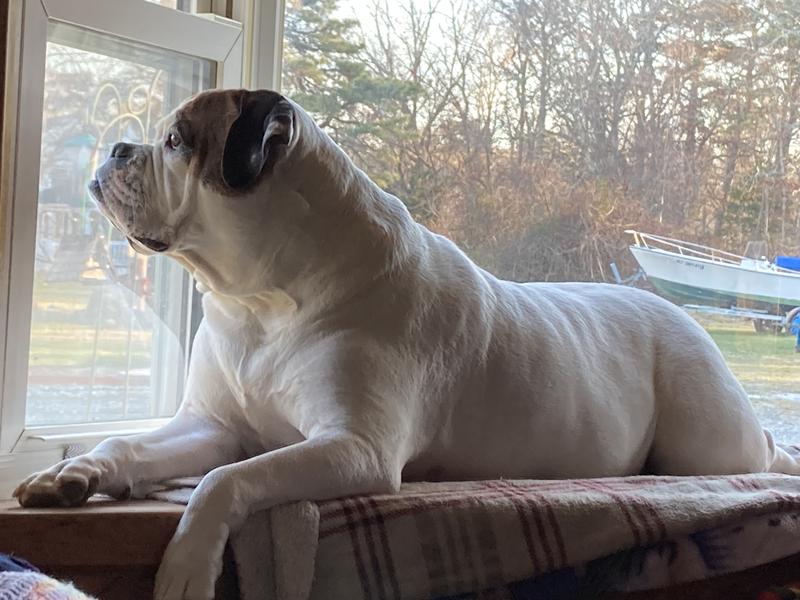 Keeping a eye on the neighborhood