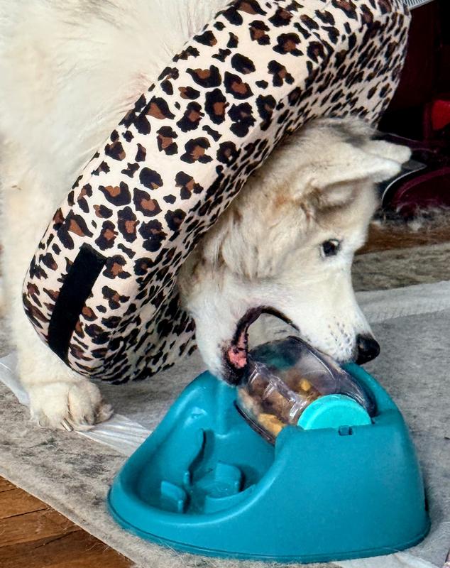 Figuring out that she can't fit the whole thing in her mouth!  😂