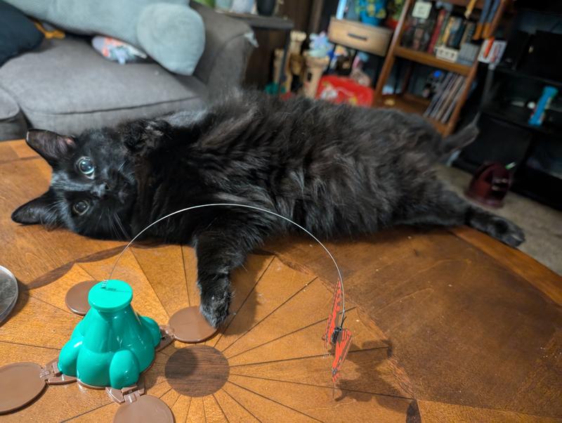 PET ZONE Fly By Spinner Interactive Cat Toy