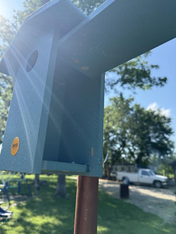 Easily opens for cleaning (wasps have already started trying to nest)